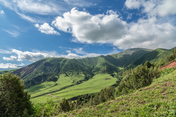 Panorama of green mountains covered with juniper forest and a mountain valley. Sunny day in the mountains.