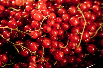 Red currants in a plate on a black background.red currant isolate.Berry concept