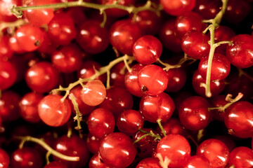 Red currants in a plate on a black background.red currant isolate.Berry concept