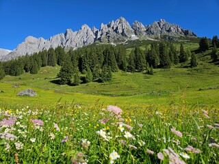 Mandlwand in M&uuml;hlbach am Hochk&ouml;nig