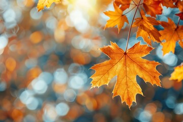 Fototapeta premium orange and golden autumn leaves against a blurry park in sunlight with beautiful bokeh. ai generative