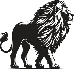 lion isolated on white