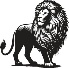 lion illustration