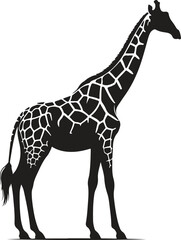giraffe cartoon isolated on white