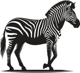 zebra cartoon isolated on white