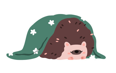 Cute hedgehog sleeping. Funny kawaii animal asleep, dreaming, slumbering, covered with blanket. Baby character relaxing, drowsing, napping. Flat illustration isolated on white background