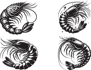 Shrimp vector illustration