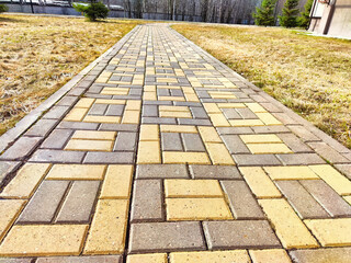 Bricks are like tiles on a path or sidewalk. Background, texture. Patterned Brick Pathway With Grass and Parked Cars in the Background