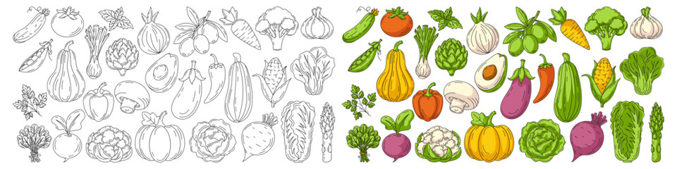 Vegetables colorful and line icons set. Farm veggies vector outline icon, monochrome and color illustration. Healthy nutrition, organic food, vegetarian product. Narrow horizontal banner, eco produce