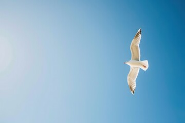 A lone bird flying in a clear blue sky with no clouds, capturing the essence of freedom and vastness