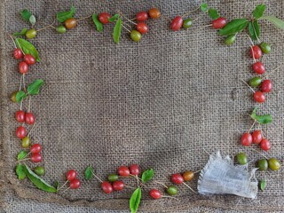 christmas wreath with red berries