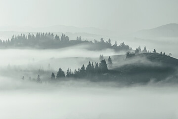 panoramic summer foggy scenery, scenic sunrise morning view in Carpathian mountains, Ukraine,...