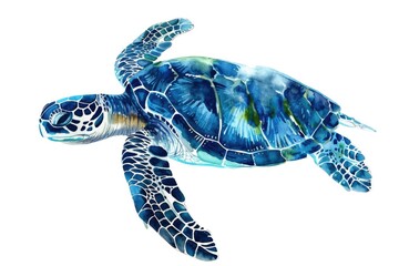 Fototapeta premium A close-up view of a sea turtle on a white background, suitable for educational or decorative purposes
