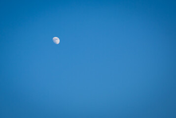 isolated moon in bright blue sky at evening
