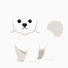 cartoon dog vector image on white background