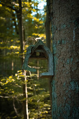 zerstörtes Vogelhaus im Wald an einer Tanne