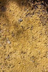 Soil background with pebbles and dried silt. Vertical.