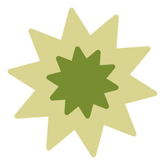 Star Stardust Icon