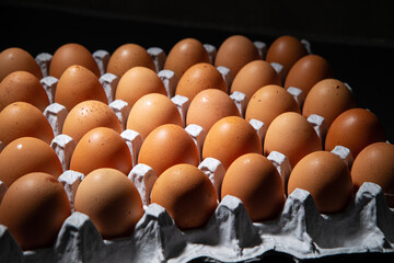 eggs in a box