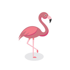 Flamingo Animal isolated flat vector illustration on white background