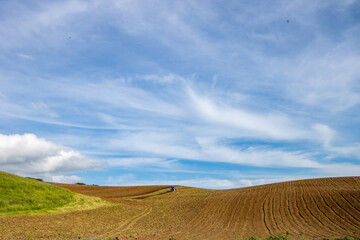 Agriculture fields, Plowed fields with a patch of green grass under a blue sky with wispy clouds