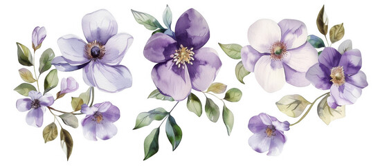 Watercolor Flower and Leaf Collection