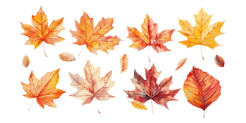 A set of watercolor autumn leaves isolated on a white background