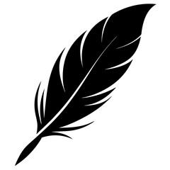 Obraz premium One Feather Silhouette Vector illustration
