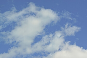 Obraz premium Light white clouds against a blue sky.