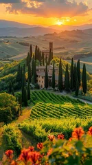 Fototapeten a landscape image of tuscany © anatolii