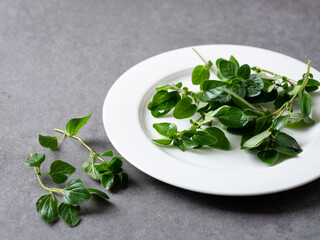 Fresh Oregano leaves on plate