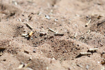 A close-up shot of a pile of dirt with uneven texture and varying shades of brown