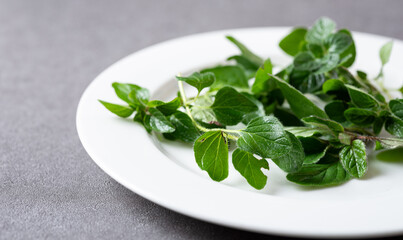 Fresh Oregano leaves on plate