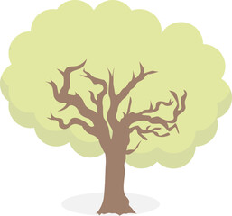 Flat Tree Icon