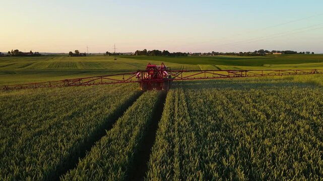 Tractor with sprayer working on barley green field, spraying herbicides and pesticides at sunset aerial view. Operating agronomic farm to generate revenue and achieve financial success