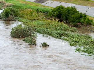 増水した大和川と沈む河川敷の草木