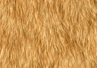texture of fur