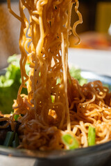 food noodles with chinese chicken