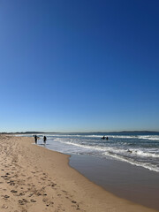 surfers in the distance walking on sand at the beach against clear blue sky with space for text