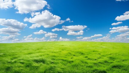 Obraz premium Smiling young man holding groceries vegetable shopping bag standing isolate on trasparency background PNG