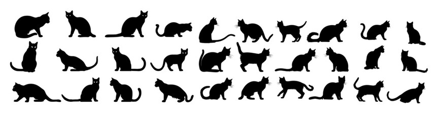 Cat silhouette collection, kitten silhouette collection, set of black cat silhouette, vector illustration, cat silhouette set vector illustration, cat silhouette collection set, black cat