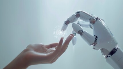 The Robot and Human Touch