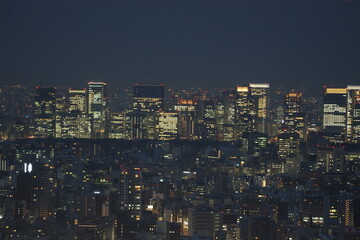 Obraz premium Tokyo skyline towards Shibuya from Shinjuku
