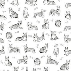 Corgi dog vector illustrations seamless pattern.