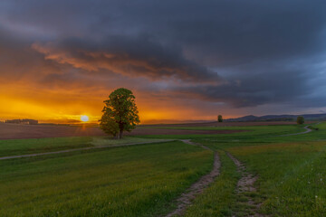 Broumov basin, Eastern Bohemia, Czech Republic