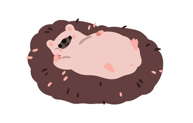 Cute hedgehog lying, relaxing. Funny adorable kawaii animal resting belly up. Happy lazy baby character, carefree relaxation. Childrens flat  illustration isolated on white background