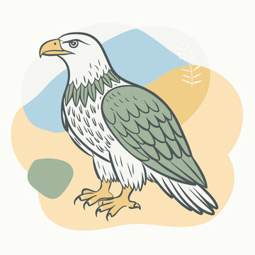 eagle on a branch