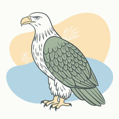 eagle on a branch