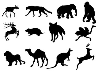 Wild animal Vector art pack