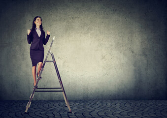 Businesswoman on a ladder celebrates achievement and success 
